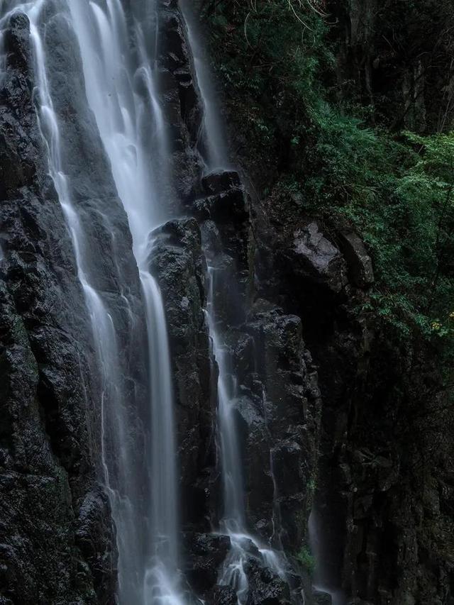 南京溧水草莓节将于2月1日开幕